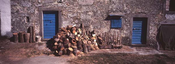 DamilKalodjera Cicarija